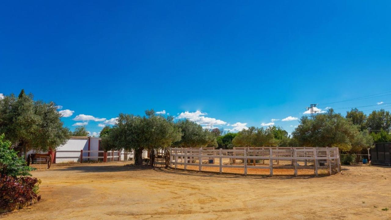 Finca La Canera Alcala De Guadaira By Ruralidays Exteriör bild